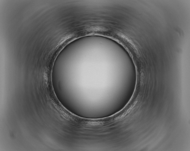 X0000112371305200908271309