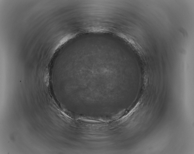 X0000112371306200908271309