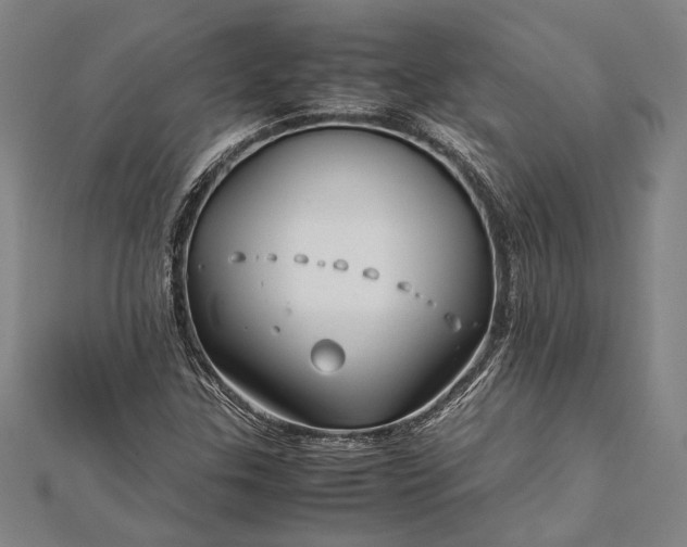 X0000112371307200908271309