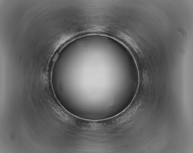 X0000112371308200908271309