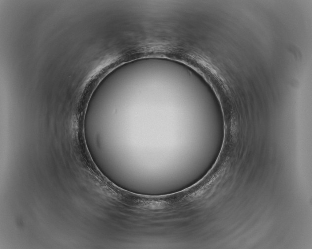 X0000112371309200908271309