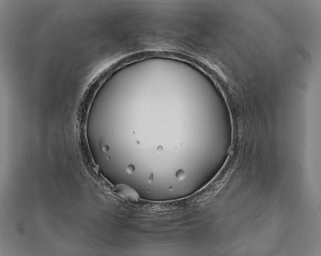 X0000112371311200908271309