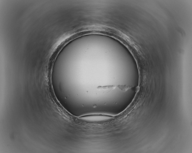 X0000112371312200908271309