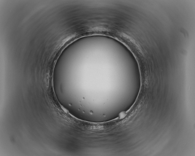 X0000112371313200908271309