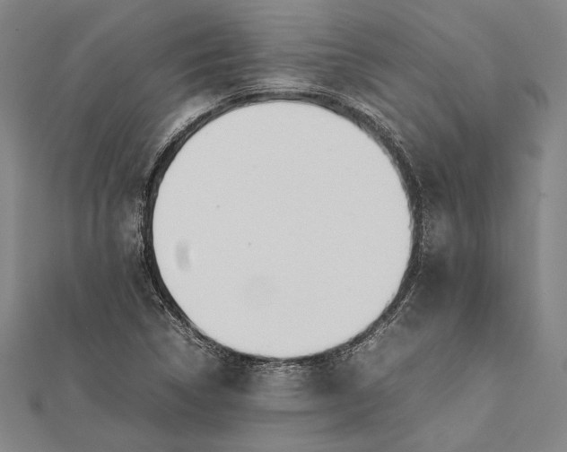 X0000112371314200908271309