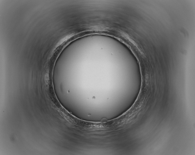 X0000112371315200908271309