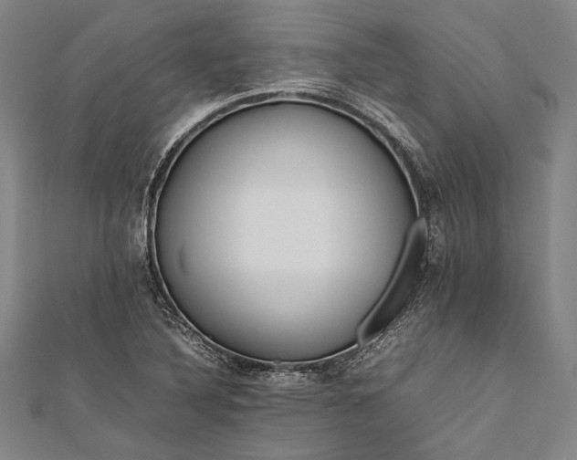 X0000112371316200908271309