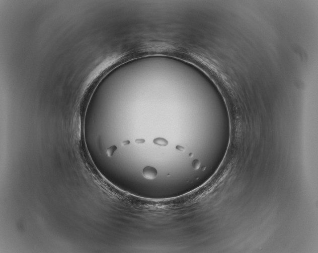 X0000112371317200908271309