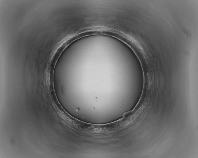 X0000112371318200908271309