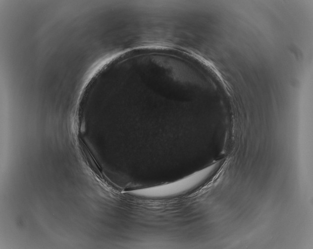 X0000112371319200908271309