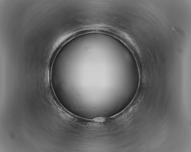 X0000112371320200908271309