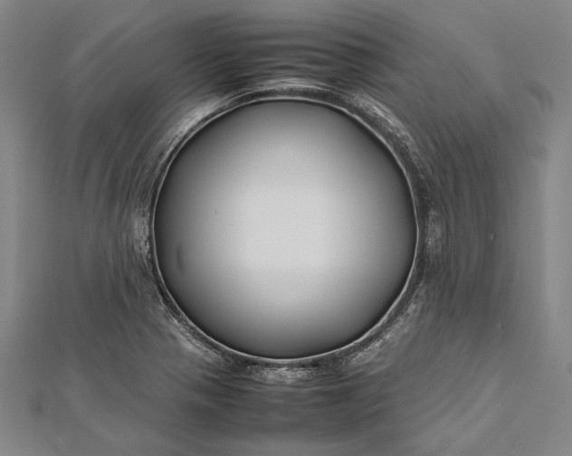 X0000112371321200908271309