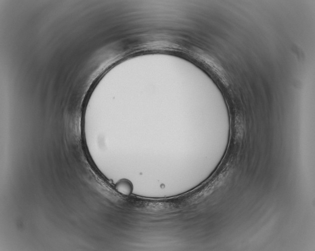 X0000112371322200908271309