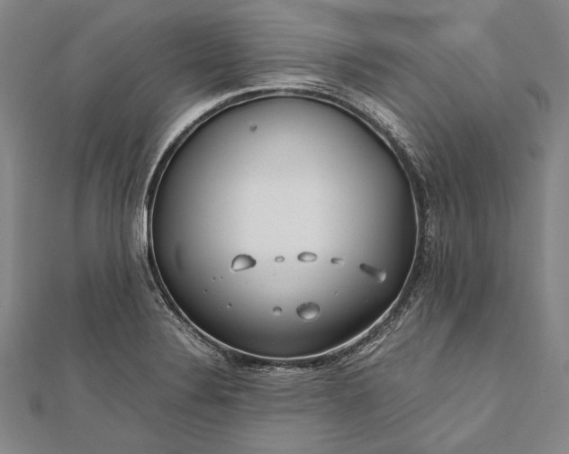 X0000112371324200908271309