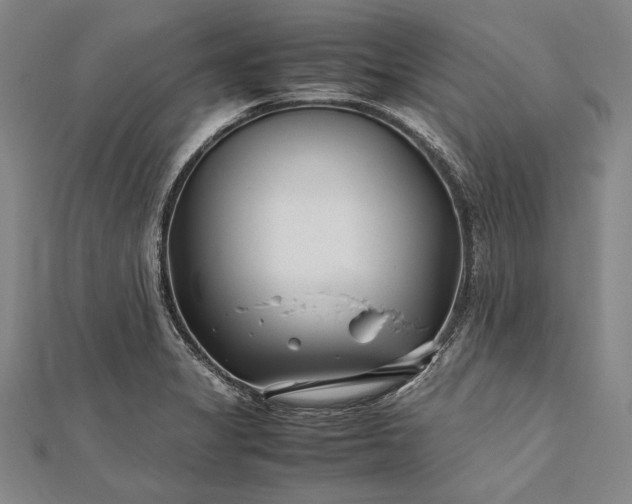 X0000112371325200908271309