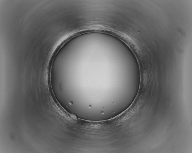 X0000112371326200908271309