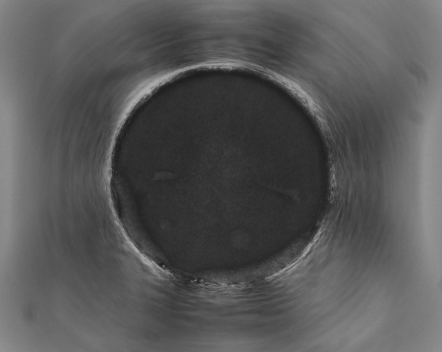 X0000112371327200908271309