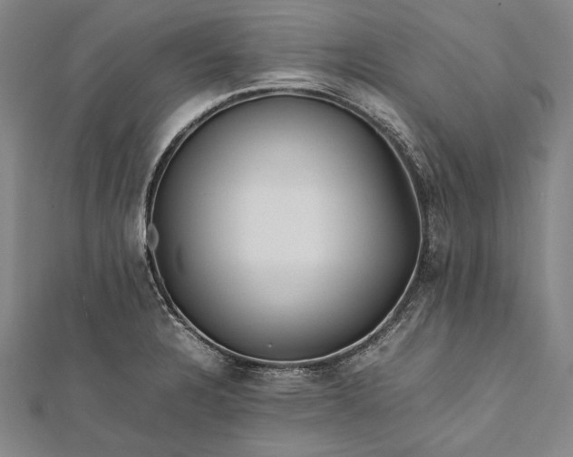 X0000112371328200908271309