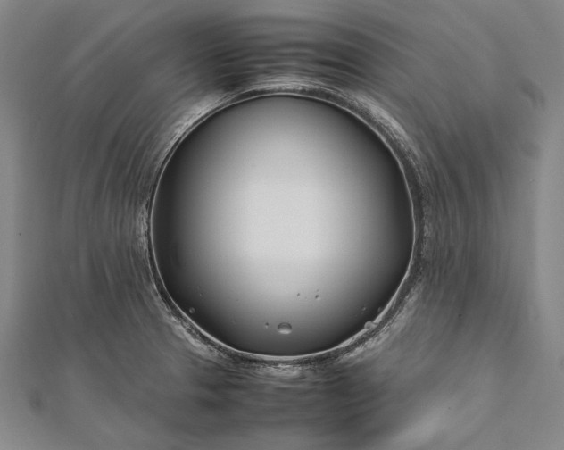 X0000112371329200908271309