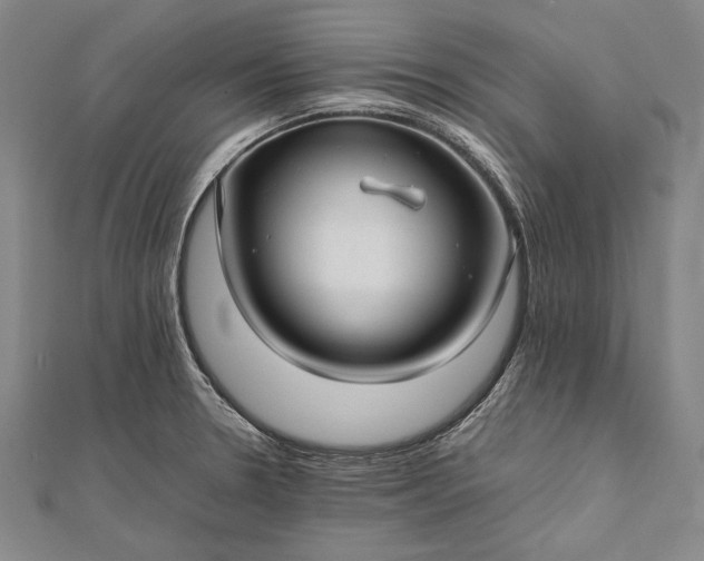 X0000112371330200908271309