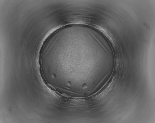 X0000112371331200908271310