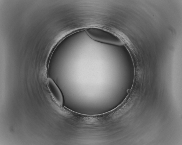 X0000112371332200908271310