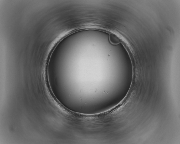 X0000112371333200908271310