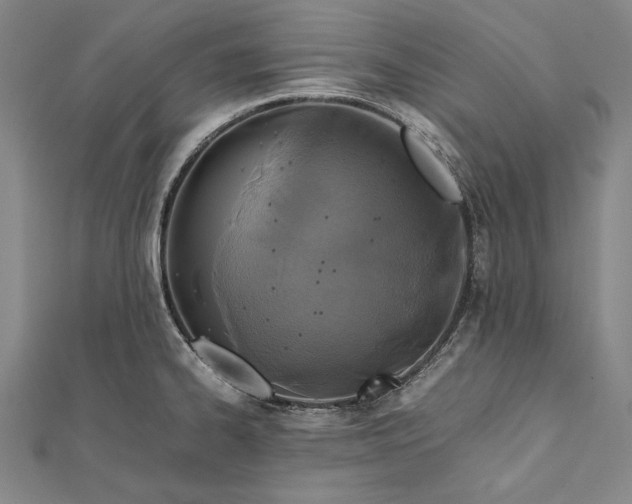 X0000112371334200908271310