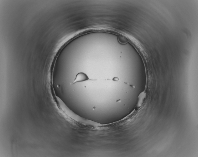 X0000112371335200908271310