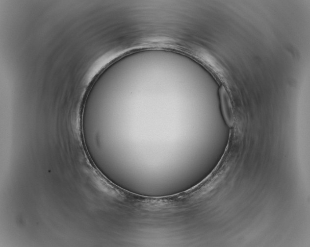 X0000112371336200908271310