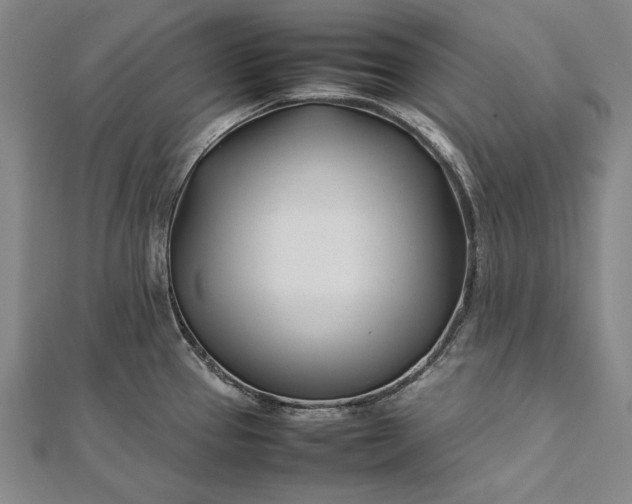 X0000112371337200908271310