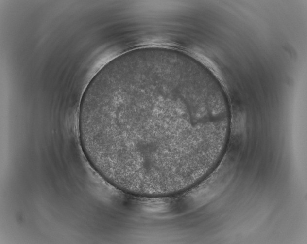 X0000112371338200908271310