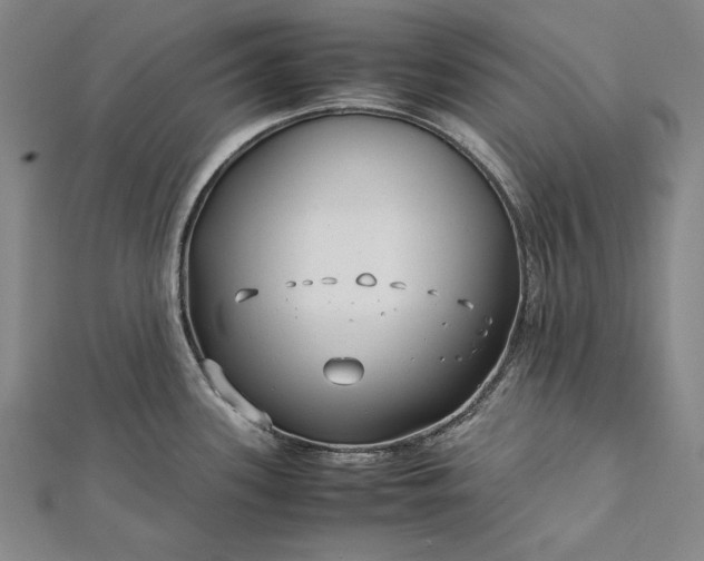 X0000112371339200908271310