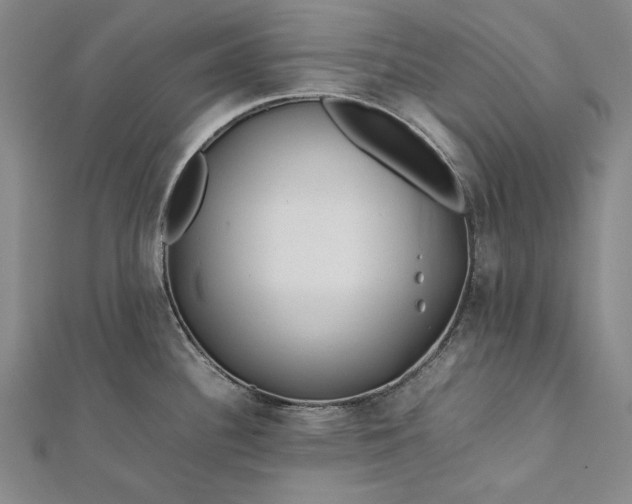 X0000112371340200908271310