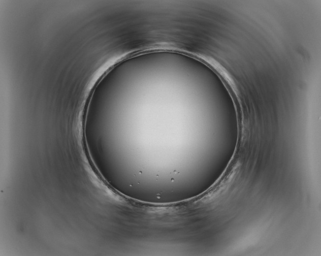 X0000112371341200908271310