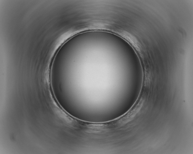 X0000112371342200908271310