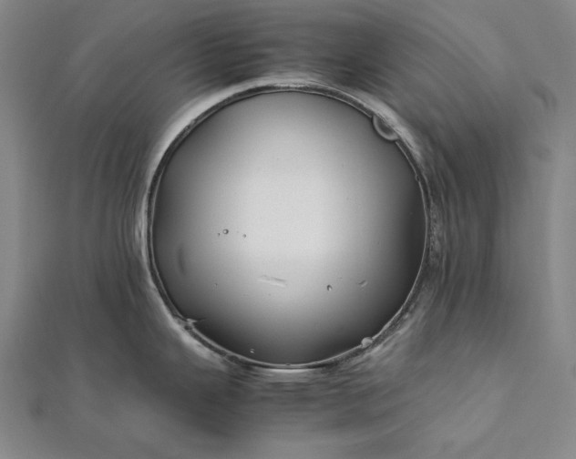 X0000112371343200908271310