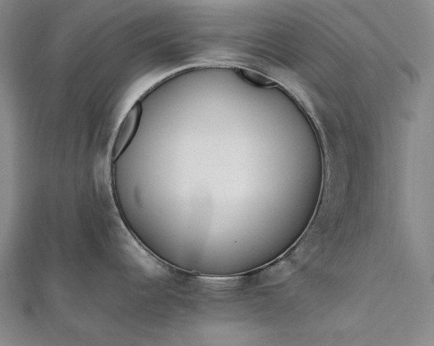 X0000112371344200908271310