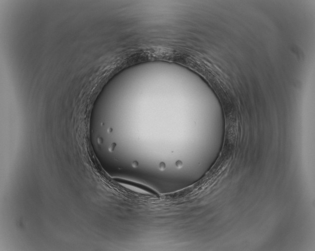 X0000112371345200908271309