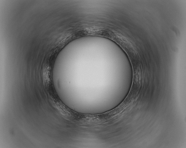 X0000112371346200908271309