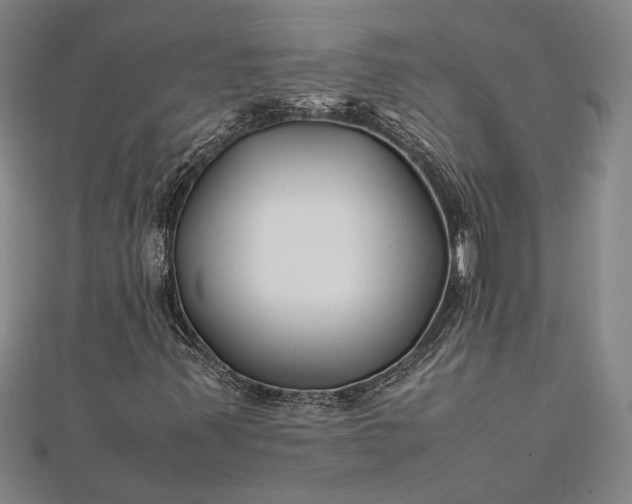 X0000112371347200908271309