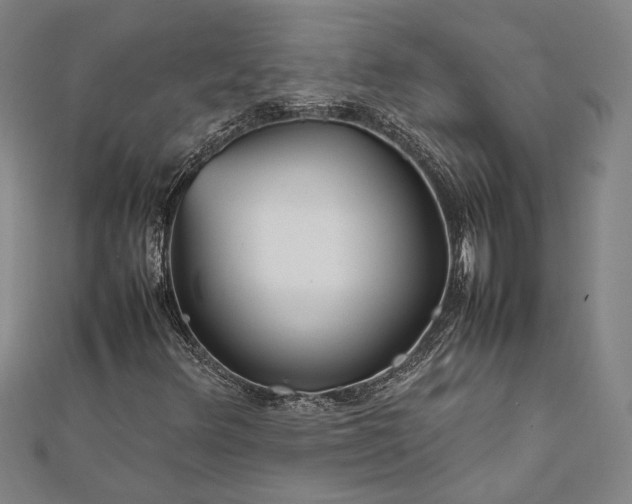 X0000112371348200908271309