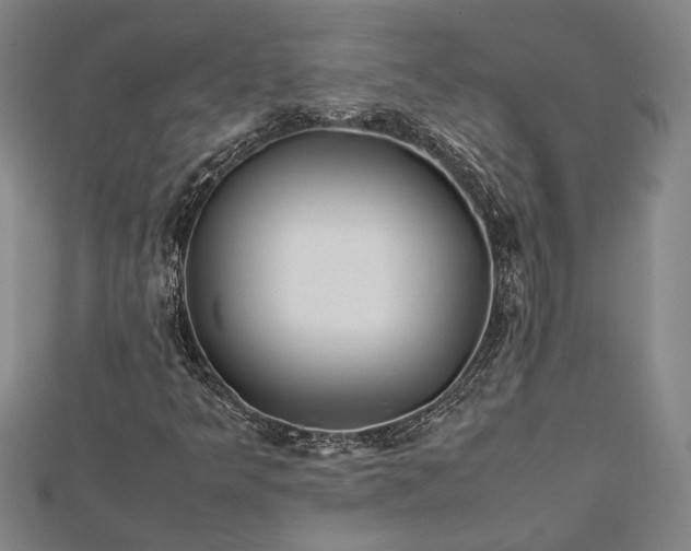 X0000112371349200908271309