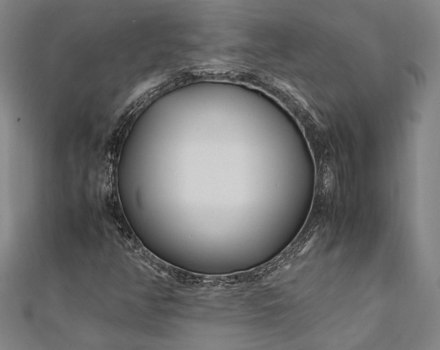 X0000112371350200908271309