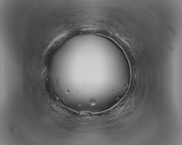 X0000112371351200908271309