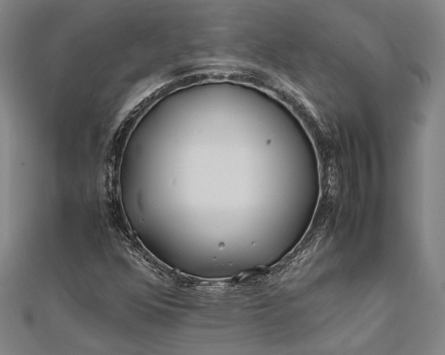 X0000112371352200908271309