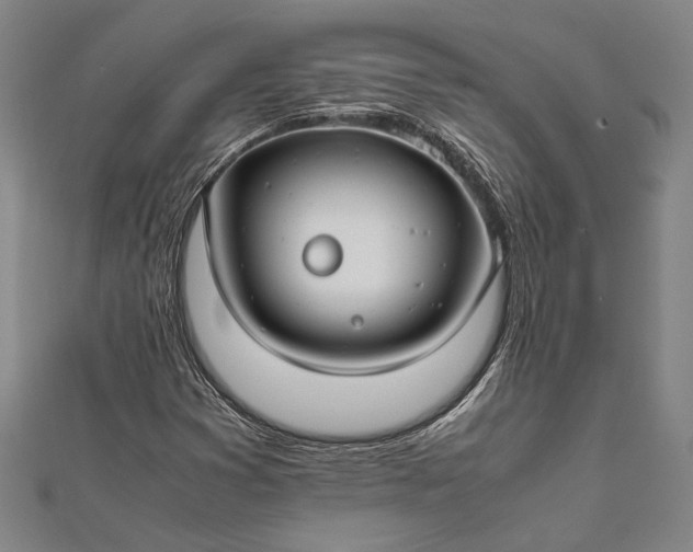 X0000112371353200908271309