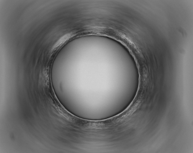 X0000112371354200908271309