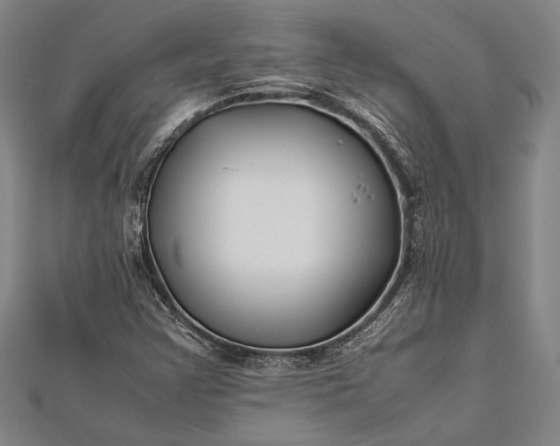 X0000112371355200908271309