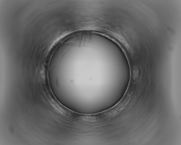 X0000112371356200908271309